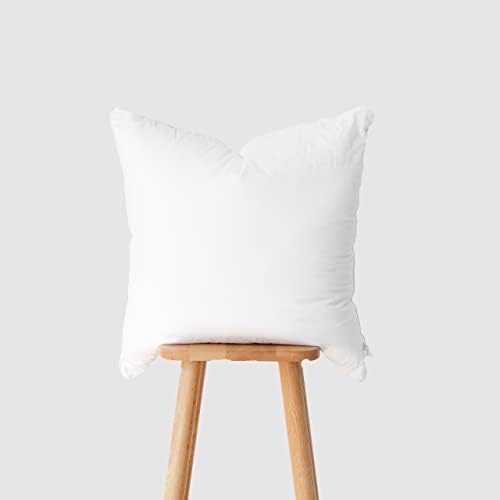 Hofdeco Premium Throw Pillow Insert 22x22