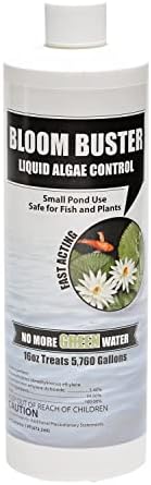 Bloom Buster Algae Control 16oz Fast Acting for Ponds and Fountains