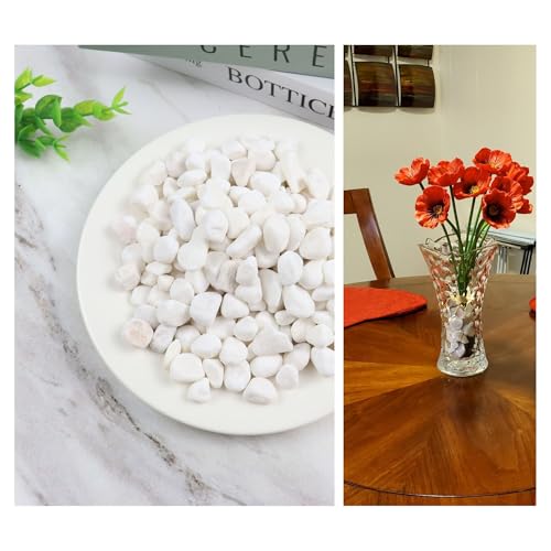 1LB Natural Gravel Pebbles for Decorative Use
