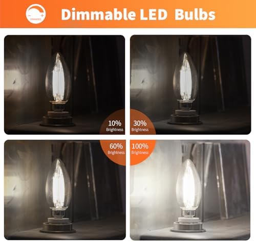 ALAMPEVER E12 LED Bulb 100W Equivalent 6 Pack