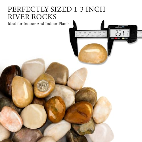 18lb Mix River Rocks for Plants and Decor
