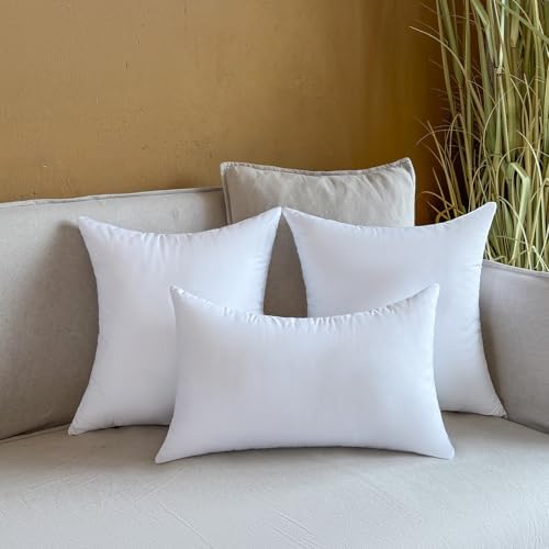 16 x 16 Outdoor Pillow Inserts Set of 2
