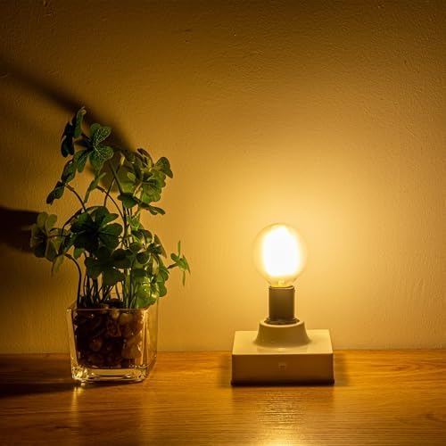 Sunaiony E12 Globe LED Bulbs 2W 6 Pack Warm White Frosted Glass