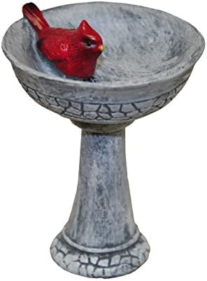 G F Products MiniGardenn Cardinal Birdbath Kit