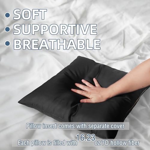 WHATWEARS 18x18 Inch Throw Pillow Set of 2 Black