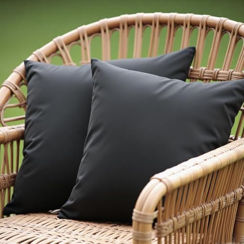 WHATWEARS 18x18 Inch Throw Pillow Set of 2 Black