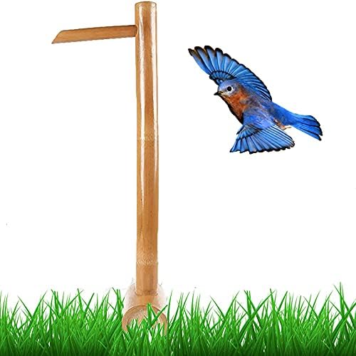 Bamboo Water Fountain for Garden Decor