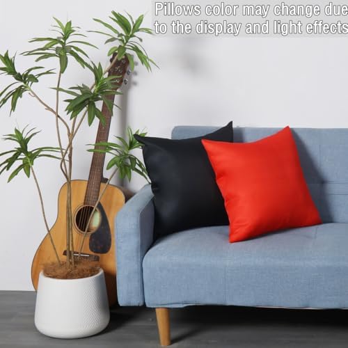 WHATWEARS 18x18 Inch Throw Pillow Set of 2 Black