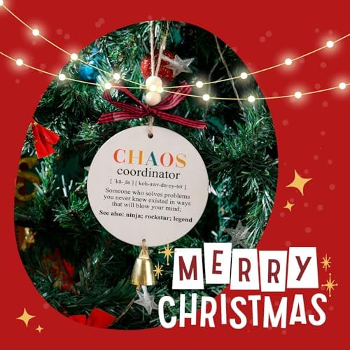Festwind Chaos Coordinator Funny Christmas Ornament