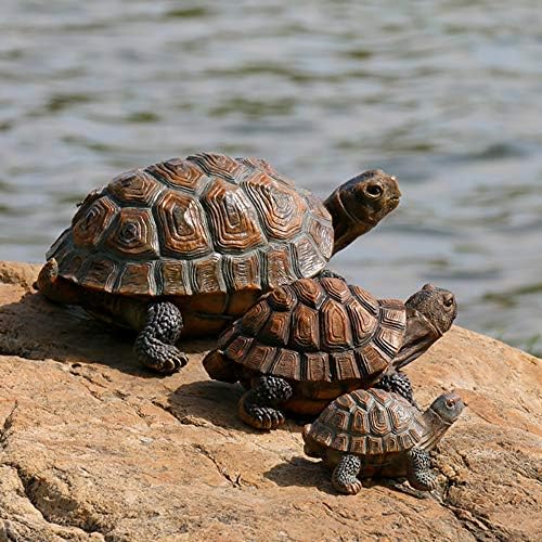 Danmu Polyresin Tortoise Statue Outdoor Decor 1 Pack