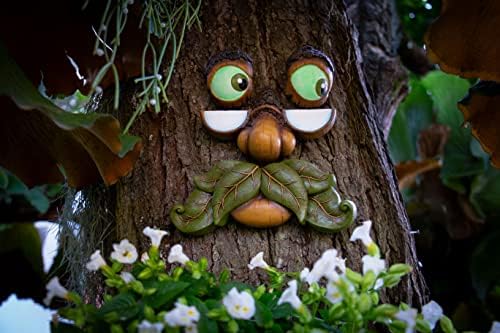Tree Faces Decor - Funny Outdoor Garden Statue