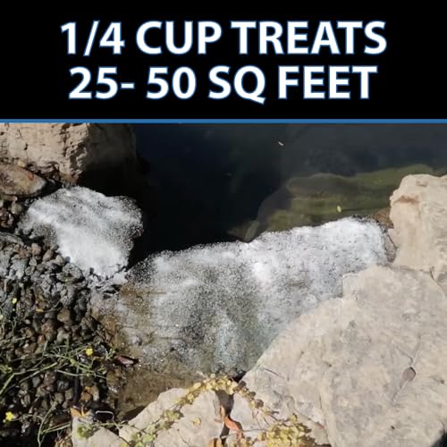 CrystalClear AlgaeOff Pond Cleaner 25 Lbs