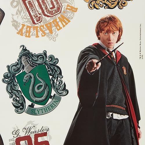 RoomMates RMK1547SCS Harry Potter Wall Decals 10x18