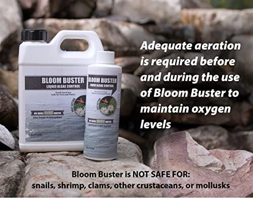 Bloom Buster Pond Algae Control 64oz Fast Acting