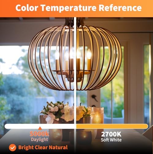 ALAMPEVER E12 LED Bulb 100W Equivalent 6 Pack