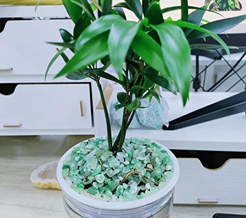 Zhiyuxi Green Aventurine Crystal Chips for Decor and Healing