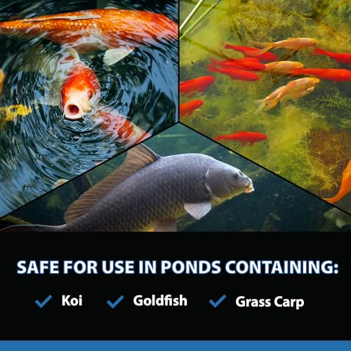 CrystalClear AlgaeOff Pond Cleaner 25 Lbs