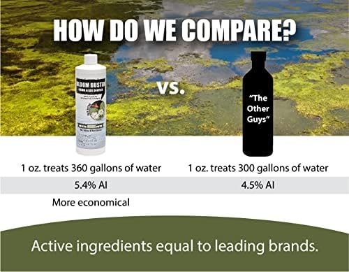 Bloom Buster Algae Control 16oz Fast Acting for Ponds and Fountains