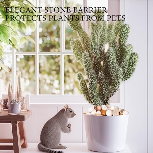 18lb Mix River Rocks for Plants and Decor