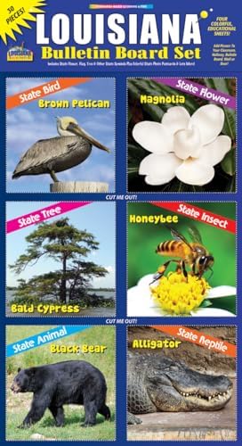 Gallopade Publishing Group Louisiana Bulletin Board Set