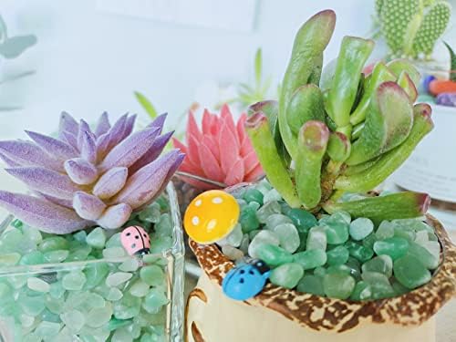 Zhiyuxi Green Aventurine Crystal Chips for Decor and Healing