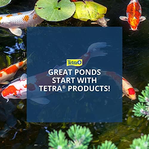 Tetra Pond Statuary Pump 75 GPH for Small and Tabletop Fountains