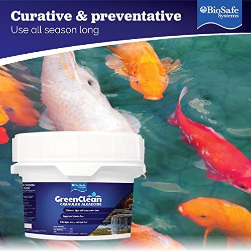 BioSafe Systems GreenClean Granular Algaecide 20 lbs