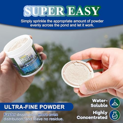 Dr Raifyas Pond Fresher - 5 Oz Natural Water Treatment