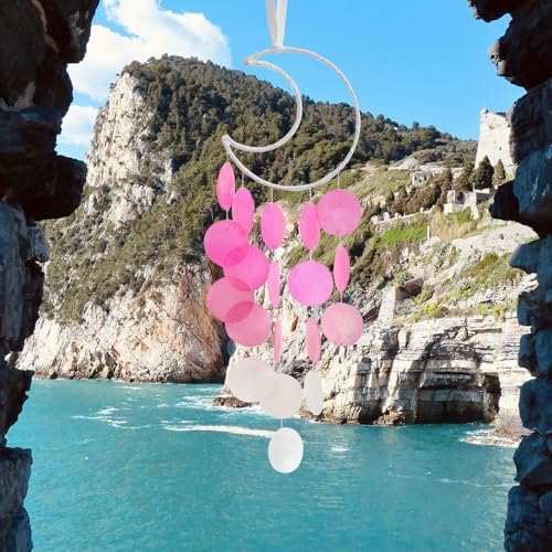 Pretty Jolly Small Outdoor Moon Dream Catcher Wind Chimes Pink