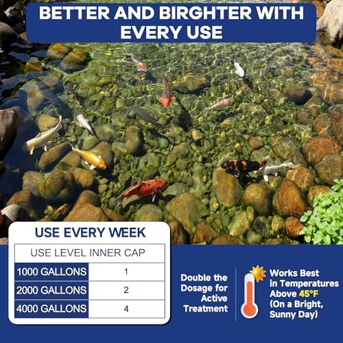 Dr Raifyas Pond Fresher - 5 Oz Natural Water Treatment