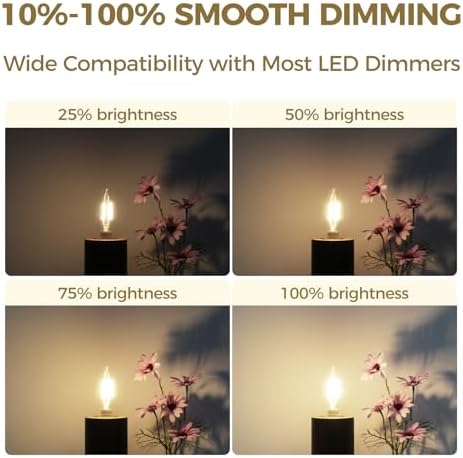 Hizashi E12 Candelabra LED Bulbs 6W 550LM 12 Pack