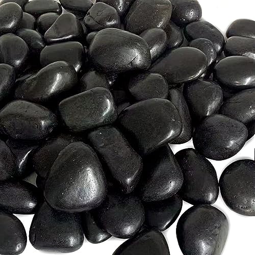 40 Pounds Black River Pebbles for Decorative Use