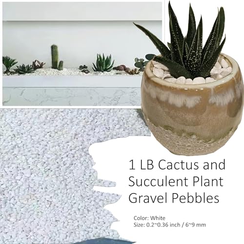 1LB Natural Gravel Pebbles for Decorative Use