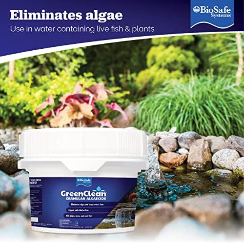 BioSafe Systems GreenClean Granular Algaecide 20 lbs