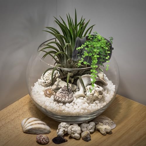 QianShi Black Ceramic Fountain Jar Water Feature