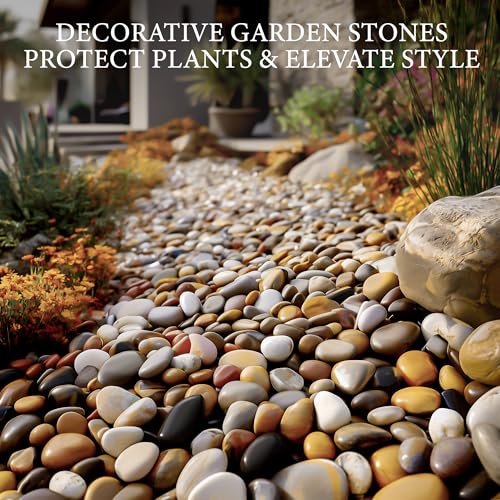 18lb Mix River Rocks for Plants and Decor