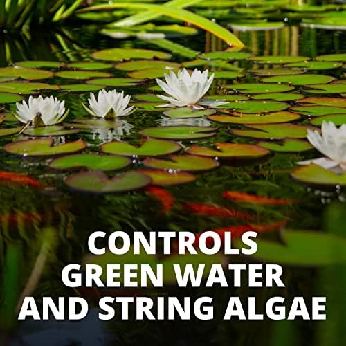 Tetra 77188 Algae Control Treats 36000 Gallons