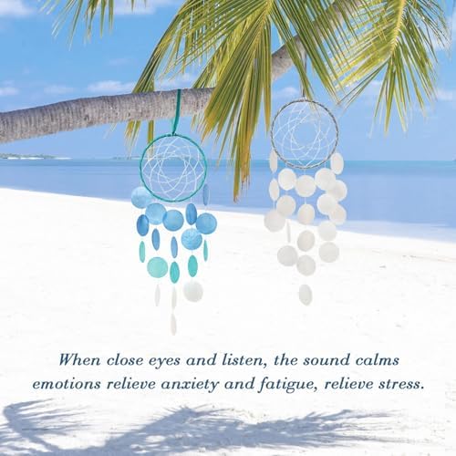Pretty Jolly Blue Full Moon Woven Wind Chime Dreamcatcher