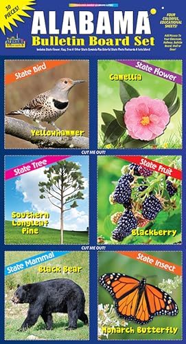 Gallopade Publishing Group Alabama Bulletin Board Set