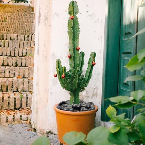 40 Pounds Black River Pebbles for Decorative Use