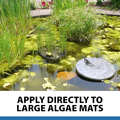 CrystalClear AlgaeOff Pond Cleaner 25 Lbs