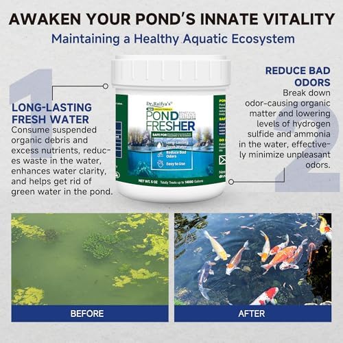 Dr Raifyas Pond Fresher - 5 Oz Natural Water Treatment