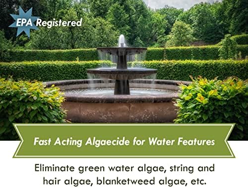 Fountain Algaecide and Clarifier 16 Oz