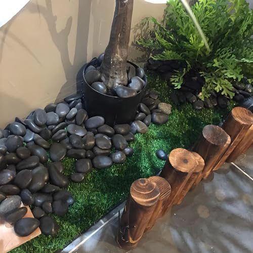 40 Pounds Black River Pebbles for Decorative Use