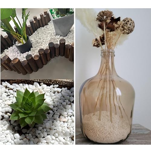 1LB Natural Gravel Pebbles for Decorative Use